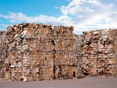 2025年12月19日紙廠廢紙價格信息